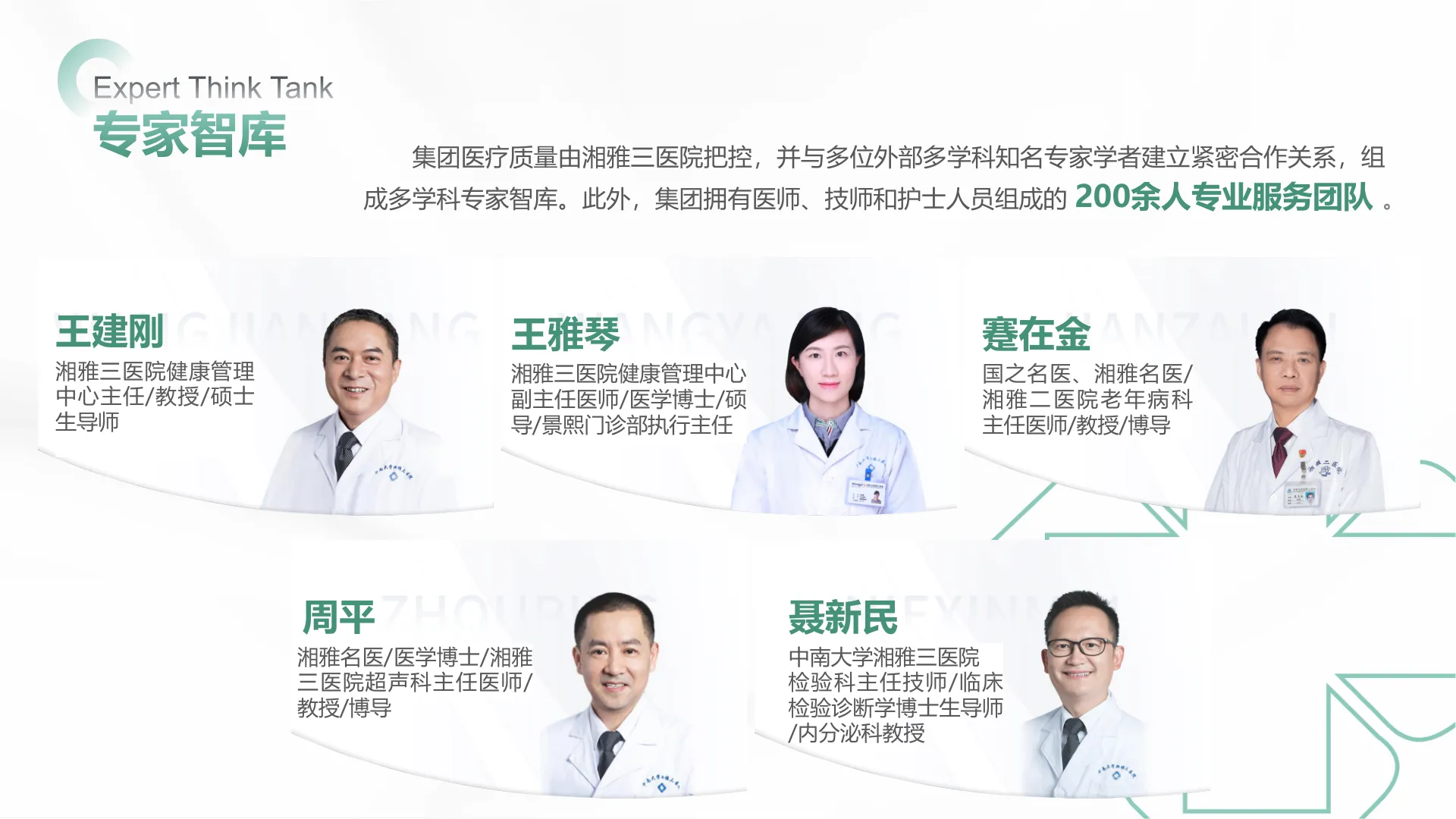 专家团队
